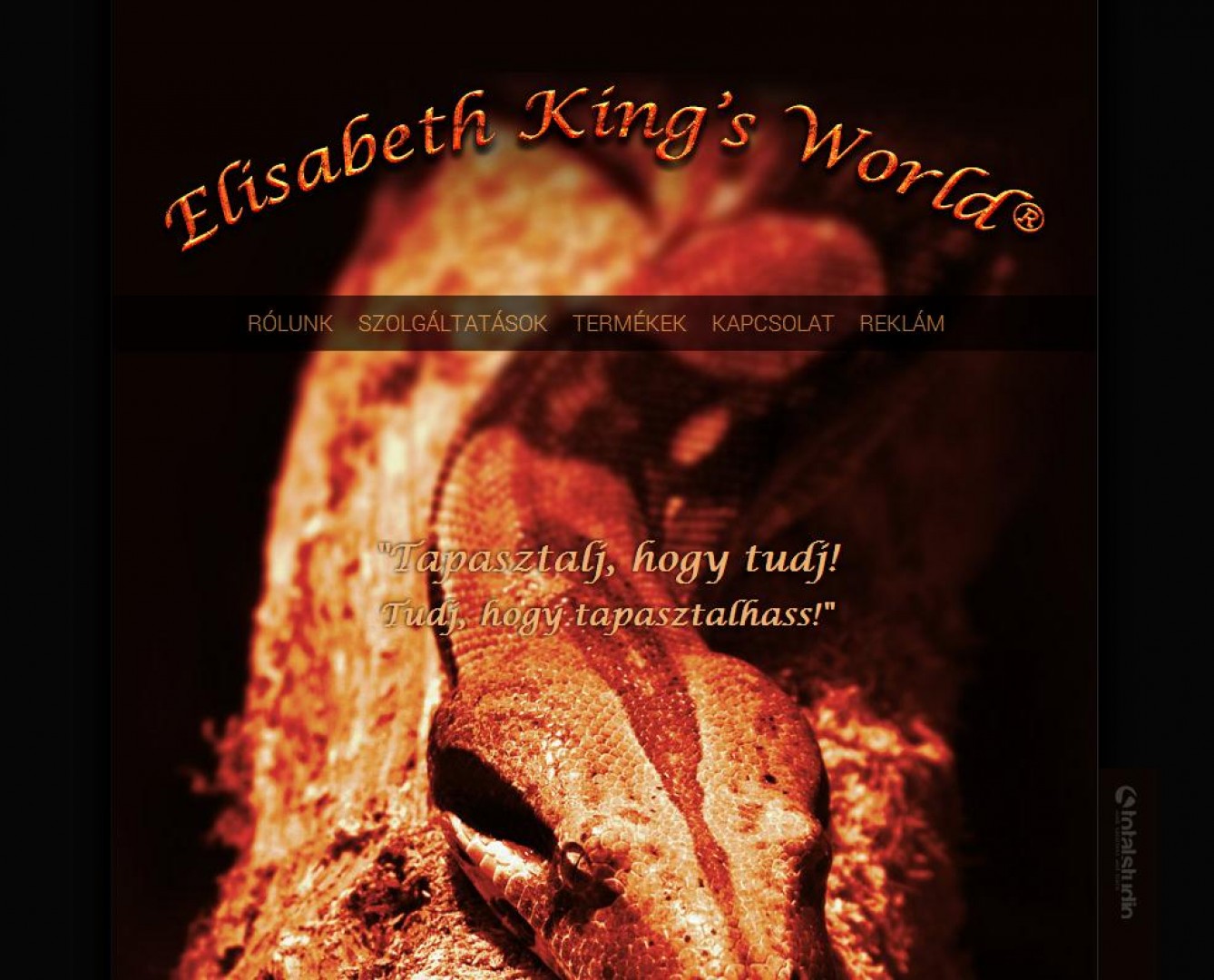 Elisabeth King's World