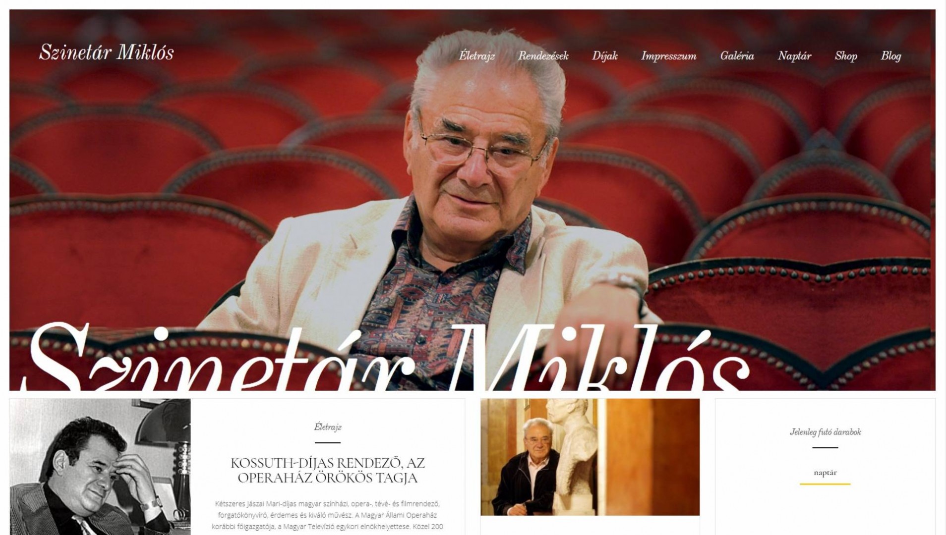 Szinetár Miklós honlapja